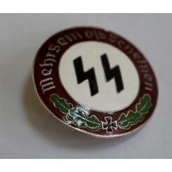 WW2 Third Reich SS Pin