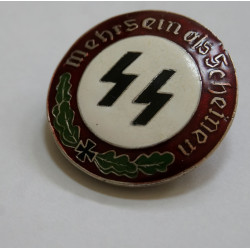WW2 Third Reich SS Pin