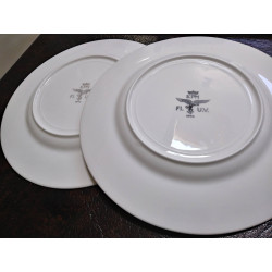 Luftwaffe  2 Dinner Plates