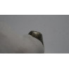 GERMAN WWII LUFTWAFFE PILOT SILVER ENAMELED RING Size  11